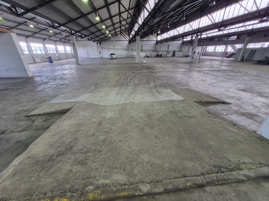 To Let Commercial Property for Rent in Paarden Eiland Western Cape